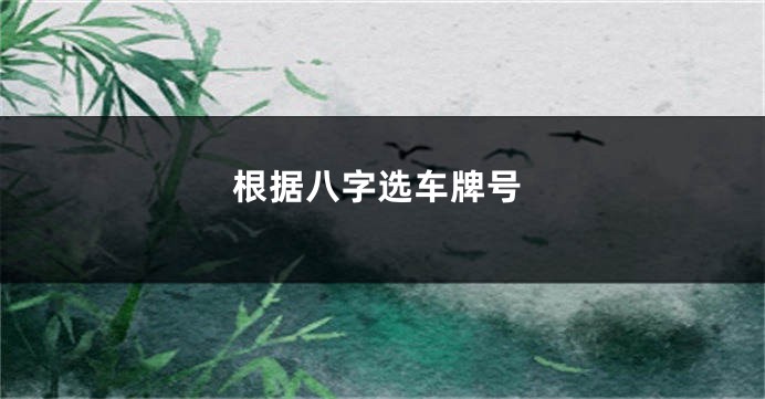 根据八字选车牌号