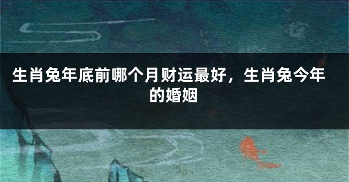 生肖兔年底前哪个月财运最好，生肖兔今年的婚姻