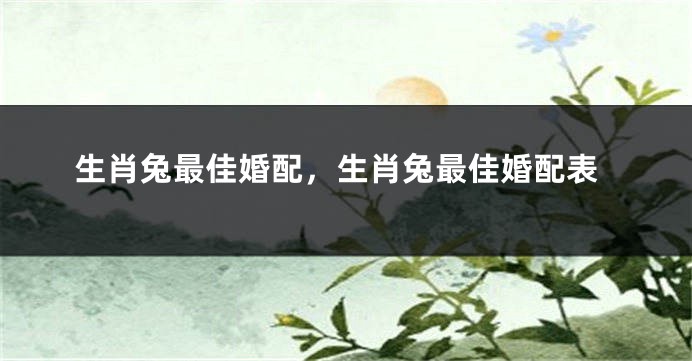生肖兔最佳婚配，生肖兔最佳婚配表