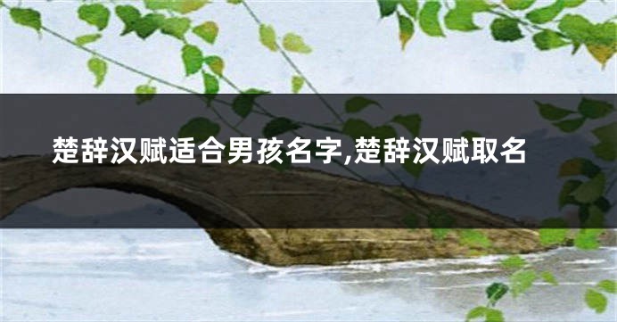 楚辞汉赋适合男孩名字,楚辞汉赋取名
