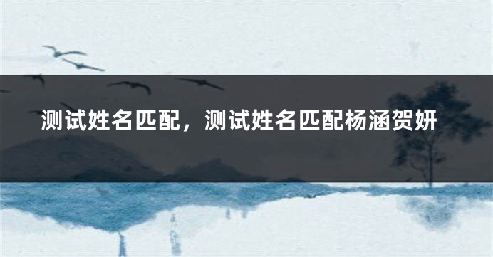 测试姓名匹配,测试姓名匹配杨涵贺妍