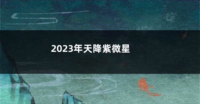 2023年天降紫微星