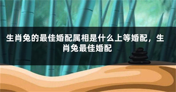 生肖兔的最佳婚配属相是什么上等婚配，生肖兔最佳婚配