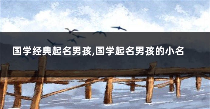 国学经典起名男孩,国学起名男孩的小名