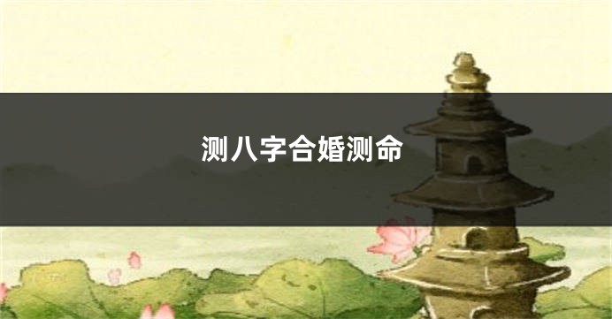 测八字合婚测命