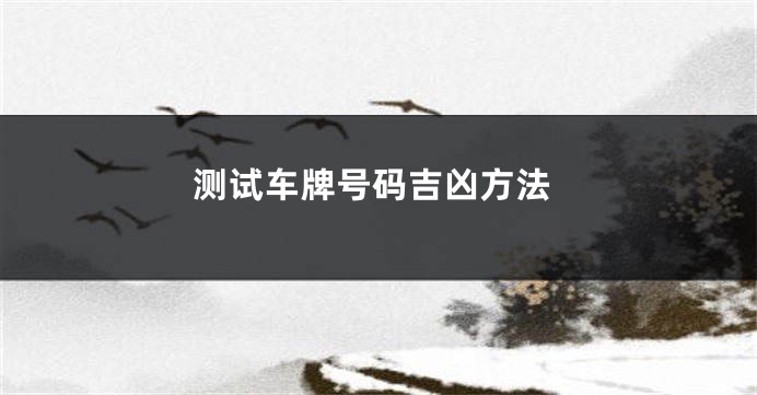 测试车牌号码吉凶方法