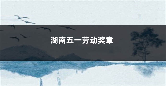 湖南五一劳动奖章