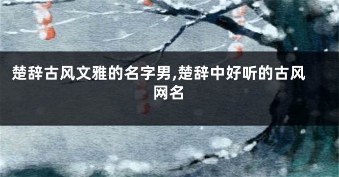 楚辞古风文雅的名字男,楚辞中好听的古风网名