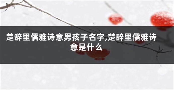 楚辞里儒雅诗意男孩子名字,楚辞里儒雅诗意是什么
