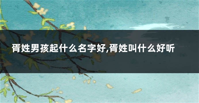 胥姓男孩起什么名字好,胥姓叫什么好听