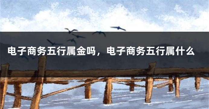 电子商务五行属金吗,电子商务五行属什么