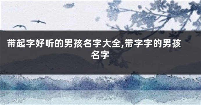 带起字好听的男孩名字大全,带字字的男孩名字