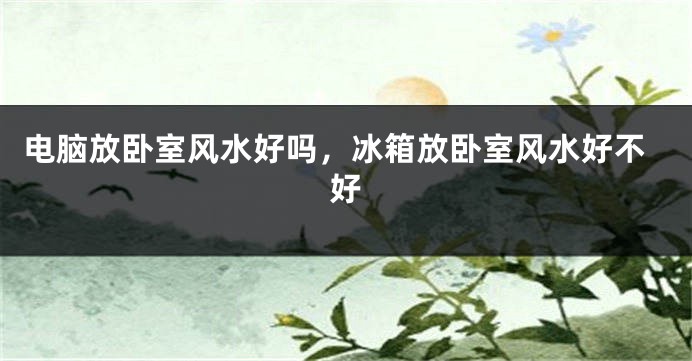 电脑放卧室风水好吗，冰箱放卧室风水好不好
