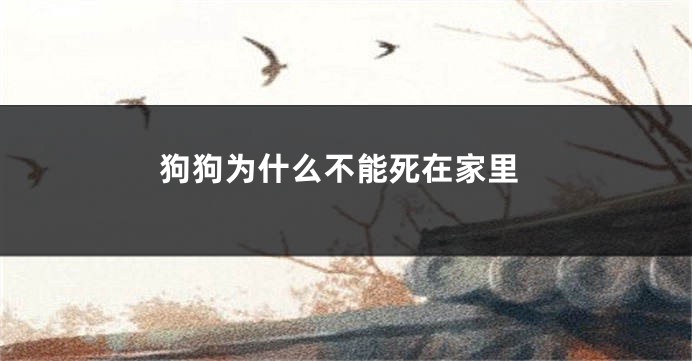 狗狗为什么不能死在家里
