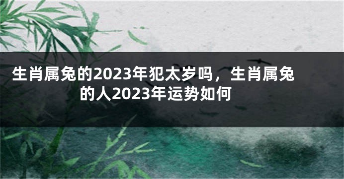 生肖属兔的2023年犯太岁吗，生肖属兔的人2023年运势如何