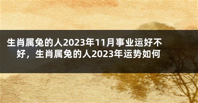 生肖属兔的人2023年11月事业运好不好，生肖属兔的人2023年运势如何