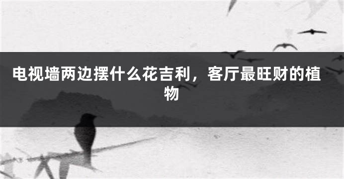 电视墙两边摆什么花吉利，客厅最旺财的植物