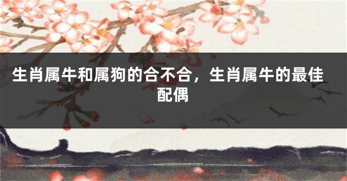 生肖属牛和属狗的合不合，生肖属牛的最佳配偶