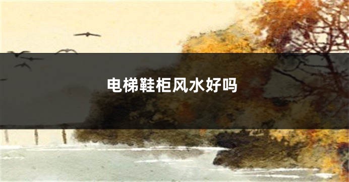 电梯鞋柜风水好吗