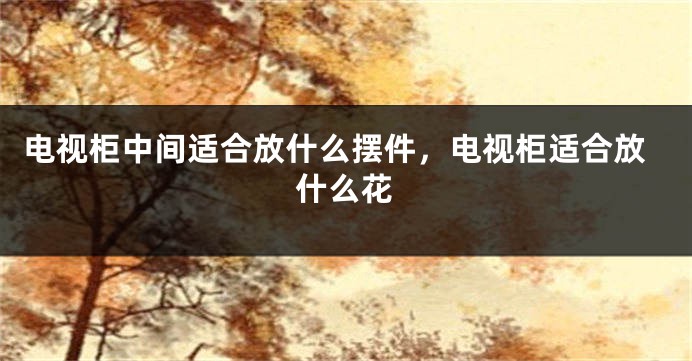 电视柜中间适合放什么摆件，电视柜适合放什么花