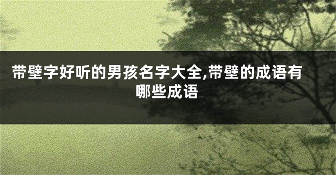 带壁字好听的男孩名字大全,带壁的成语有哪些成语
