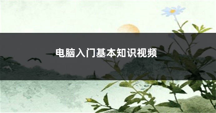 电脑入门基本知识视频