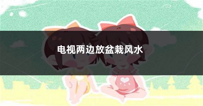 电视两边放盆栽风水
