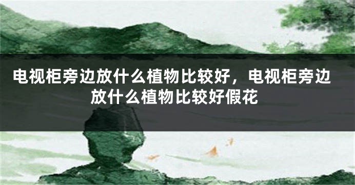 电视柜旁边放什么植物比较好，电视柜旁边放什么植物比较好假花