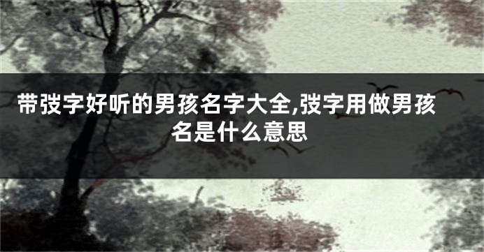带弢字好听的男孩名字大全,弢字用做男孩名是什么意思