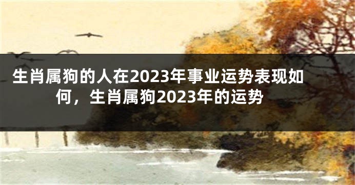 生肖属狗的人在2023年事业运势表现如何，生肖属狗2023年的运势