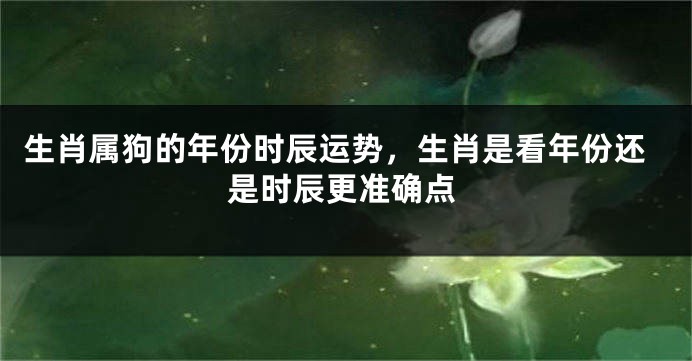 生肖属狗的年份时辰运势，生肖是看年份还是时辰更准确点