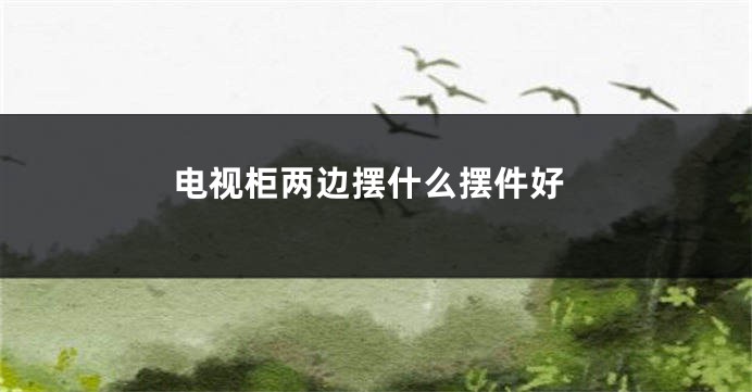 电视柜两边摆什么摆件好