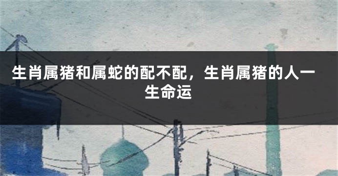 生肖属猪和属蛇的配不配，生肖属猪的人一生命运