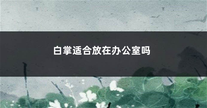 白掌适合放在办公室吗