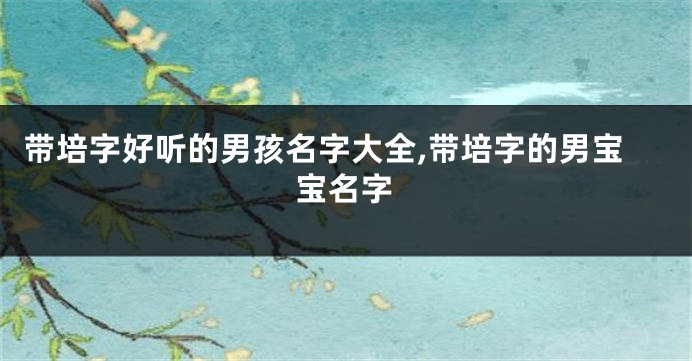 带培字好听的男孩名字大全,带培字的男宝宝名字