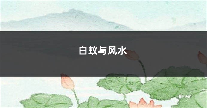白蚁与风水
