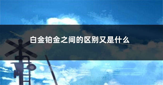 白金铂金之间的区别又是什么