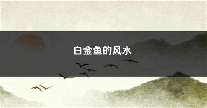 白金鱼的风水