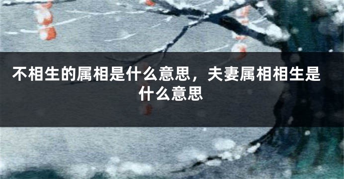 不相生的属相是什么意思，夫妻属相相生是什么意思