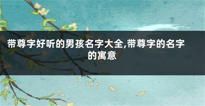 带尊字好听的男孩名字大全,带尊字的名字的寓意