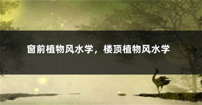 窗前植物风水学，楼顶植物风水学