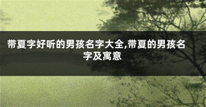 带夏字好听的男孩名字大全,带夏的男孩名字及寓意