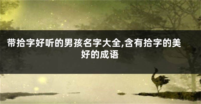带拾字好听的男孩名字大全,含有拾字的美好的成语