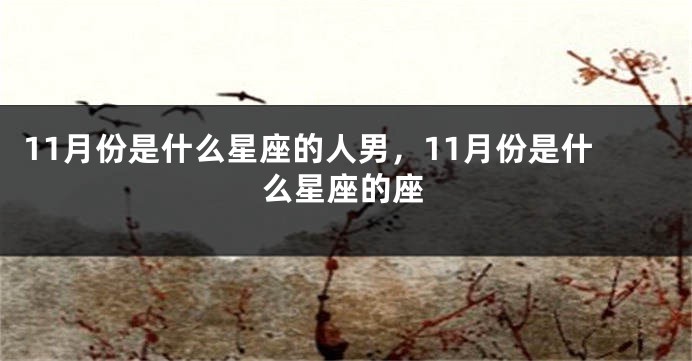 11月份是什么星座的人男，11月份是什么星座的座