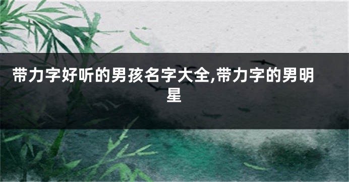 带力字好听的男孩名字大全,带力字的男明星