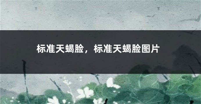 标准天蝎脸，标准天蝎脸图片