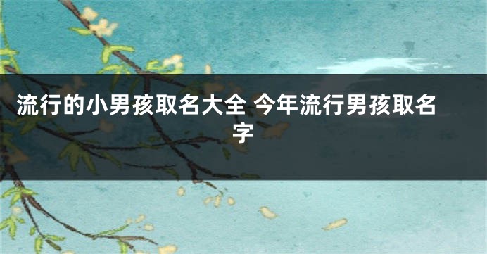 流行的小男孩取名大全 今年流行男孩取名字