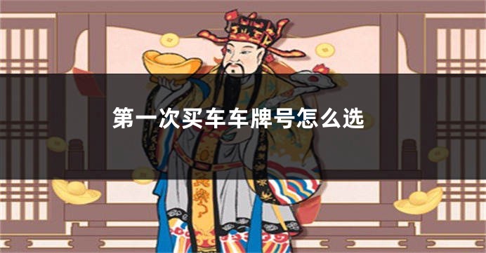 第一次买车车牌号怎么选