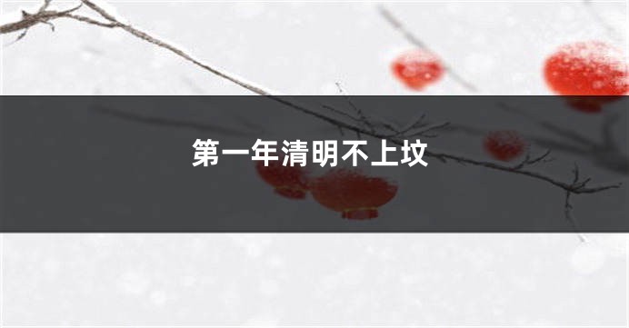 第一年清明不上坟