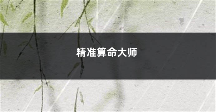 精准算命大师